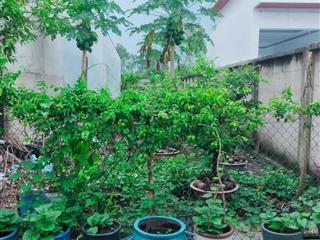 Đất hiệp an nay phú an hcm. đường 3m y hình 1/nguyễn chí thanh vào 200m sát bên hông kdl đại nam