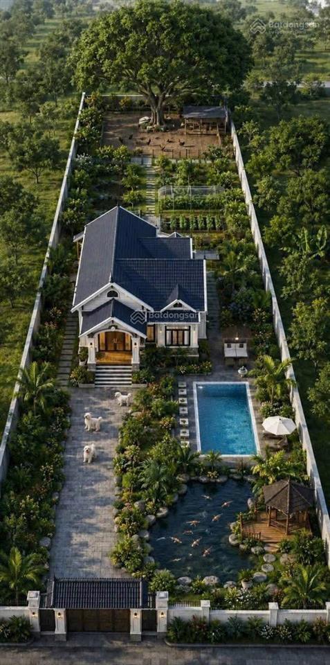 Đất định hòa tdm tặng vườn tre đường dx 72 nhựa 4m thông. 15x71m