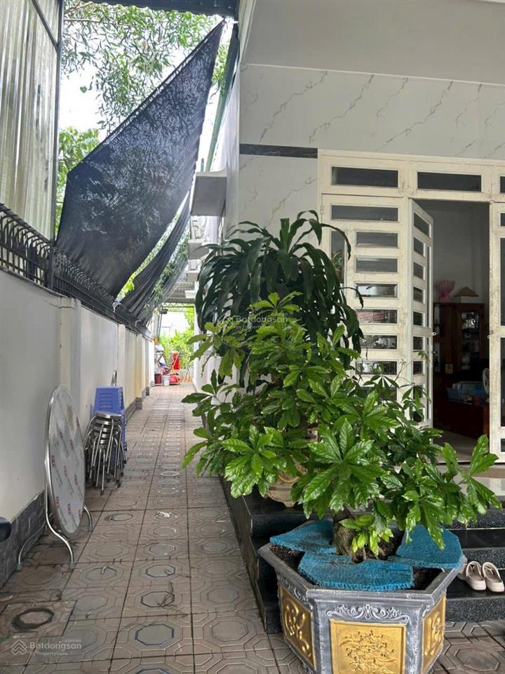 Bán gấp nhà vườn cấp 4 tương bình hiệp mặt tiền dx 146 nhựa 5,5m thông gần chợ bến thế 7x59 thổ 80m