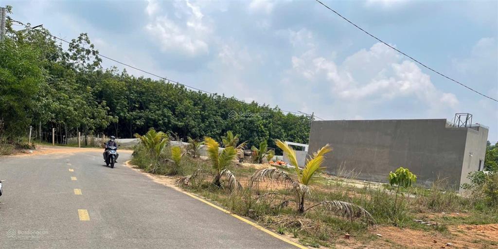 Đất tân định bến cát nhựa 5m đường xe tải lớn 15x83m i hình cần bán gấp