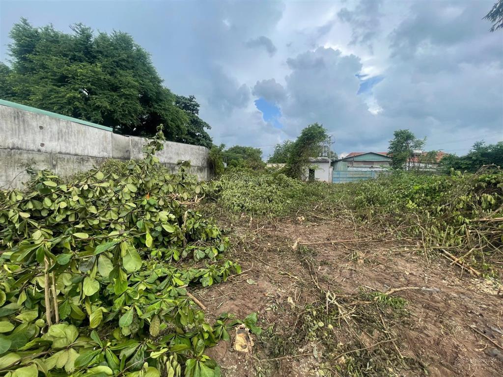Bán gấp đất 31,6x55 thổ cư 300m, 500m skc nhựa 6m thông gần dt 744, thuận tiện công chạy.