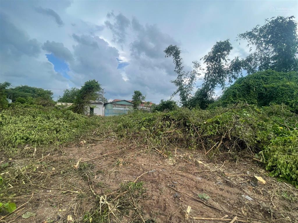 Bán gấp đất 31,6x55 thổ cư 300m, 500m skc nhựa 6m thông gần dt 744, thuận tiện công chạy.