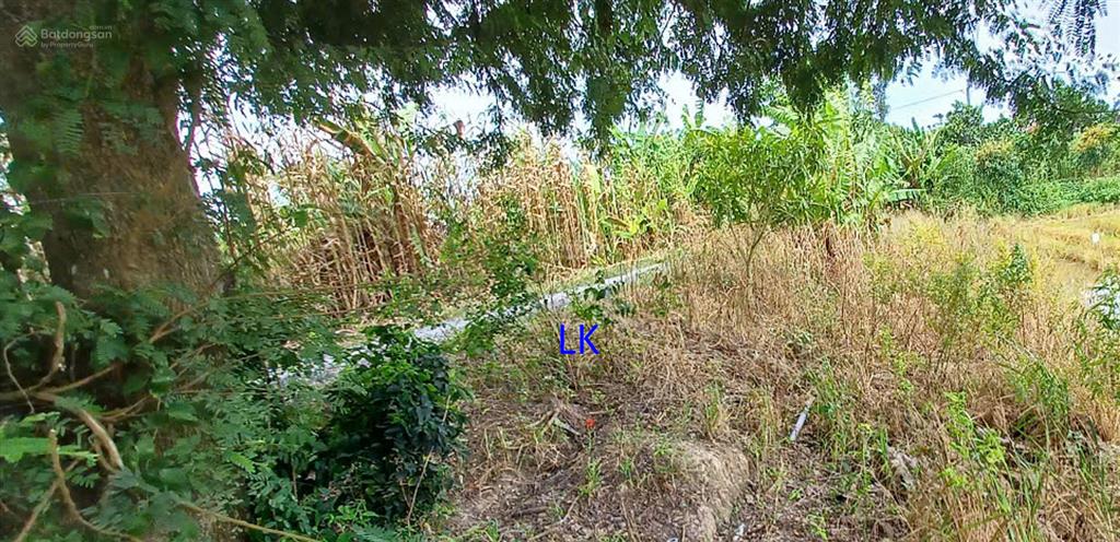 Bán nền (5m x 25m, thổ 80m2) đường nhựa đang thi công, xã mỹ thọ, đt