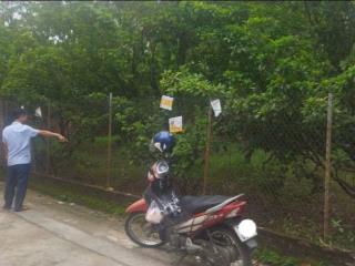 60m2 ĐẤT HOÈ THỊ, PHƯƠNG CANH, XUÂN PHƯƠNG