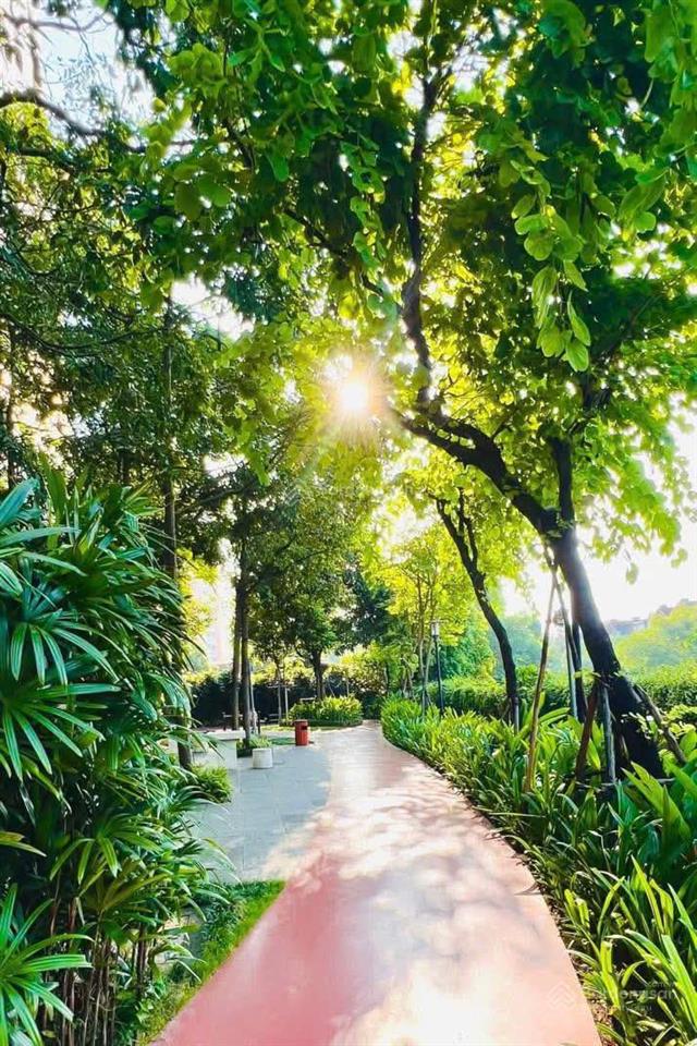 Chính chủ  nhà mới sửa cho thuê gấp cc mulberry lane, tầng cao, 128m2, 3pn+1, 2vs