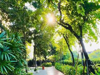 chinh-chu--cho-thue-gap-cc-mulberry-lane-tang-cao-128m2-3pn1-2vs-nguyen-van-loc-hn-bds29685499