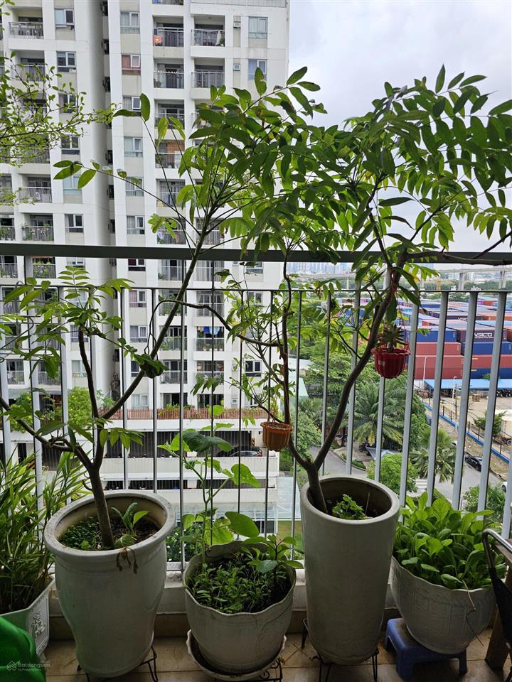Chung cư lux garden  cho thuê phòng
