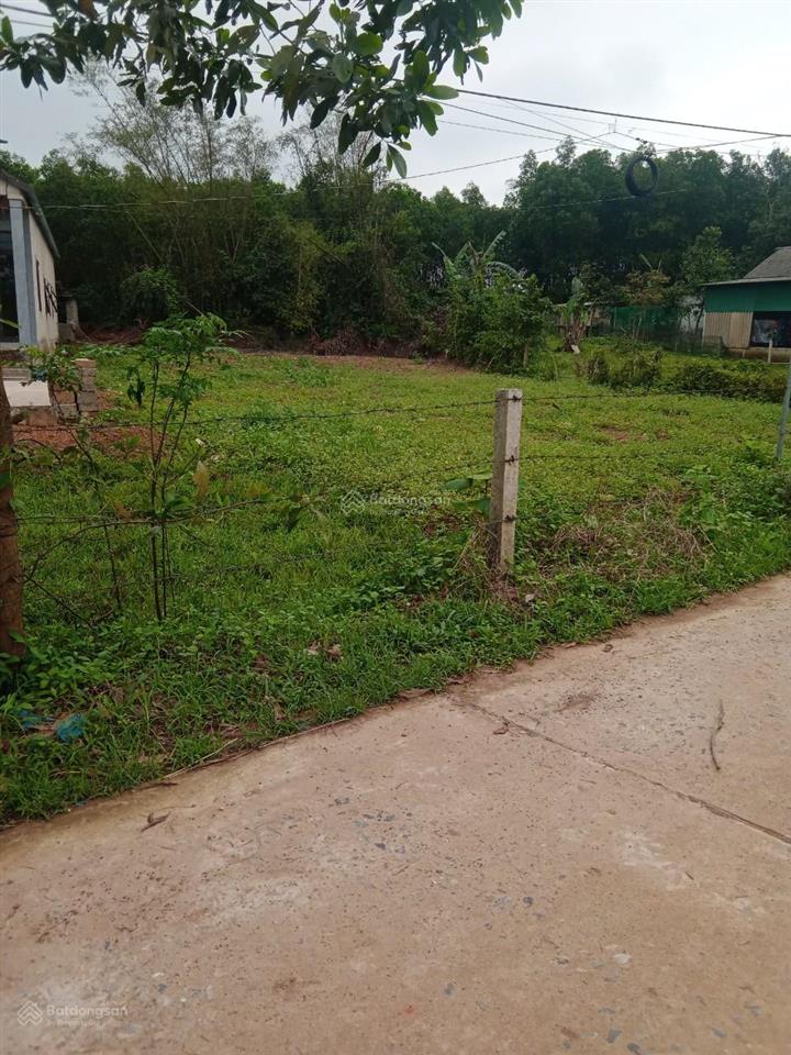 Chính chủ cần bán lô đất đẹp thôn phú hưng, xã hải lăng, gần thánh địa la vang