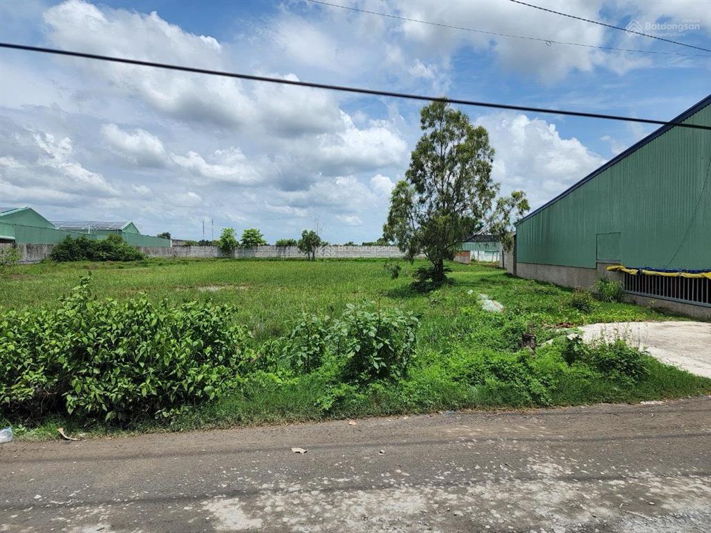 Cần bán đất xây kho xưởng vị trí đẹp diện tích lớn gần 5.000 m2