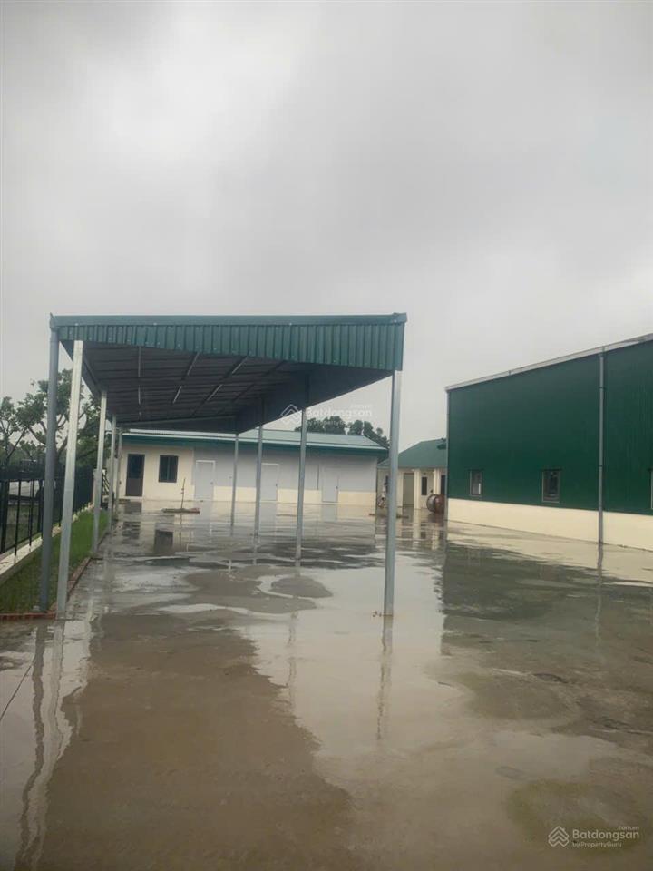 Cho thuê kho xưởng khu vực cẩm giàng, hải dương cũ