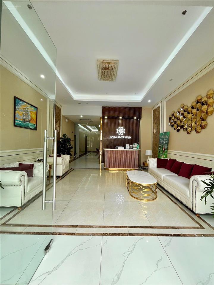 Cho thuê căn hộ cara river park cần thơ, mới 100%, 53m2, 2pn, thang máy, bãi xe, full nội thất.