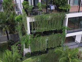 Bán căn shop trục chính flamingo nightstreet đại lải