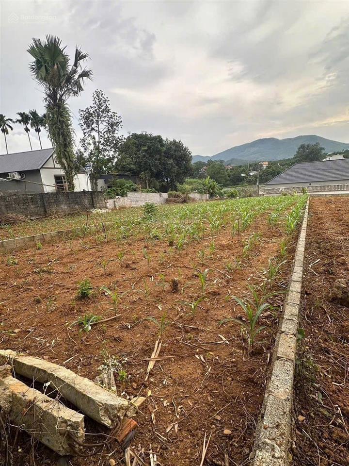 284m thanh thuỷ mặt 7m view hồ chỉ 7xxtr nhỏ