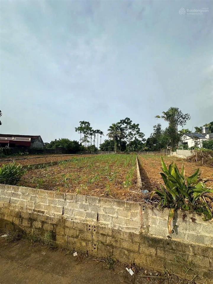 284m thanh thuỷ mặt 7m view hồ chỉ 7xxtr nhỏ