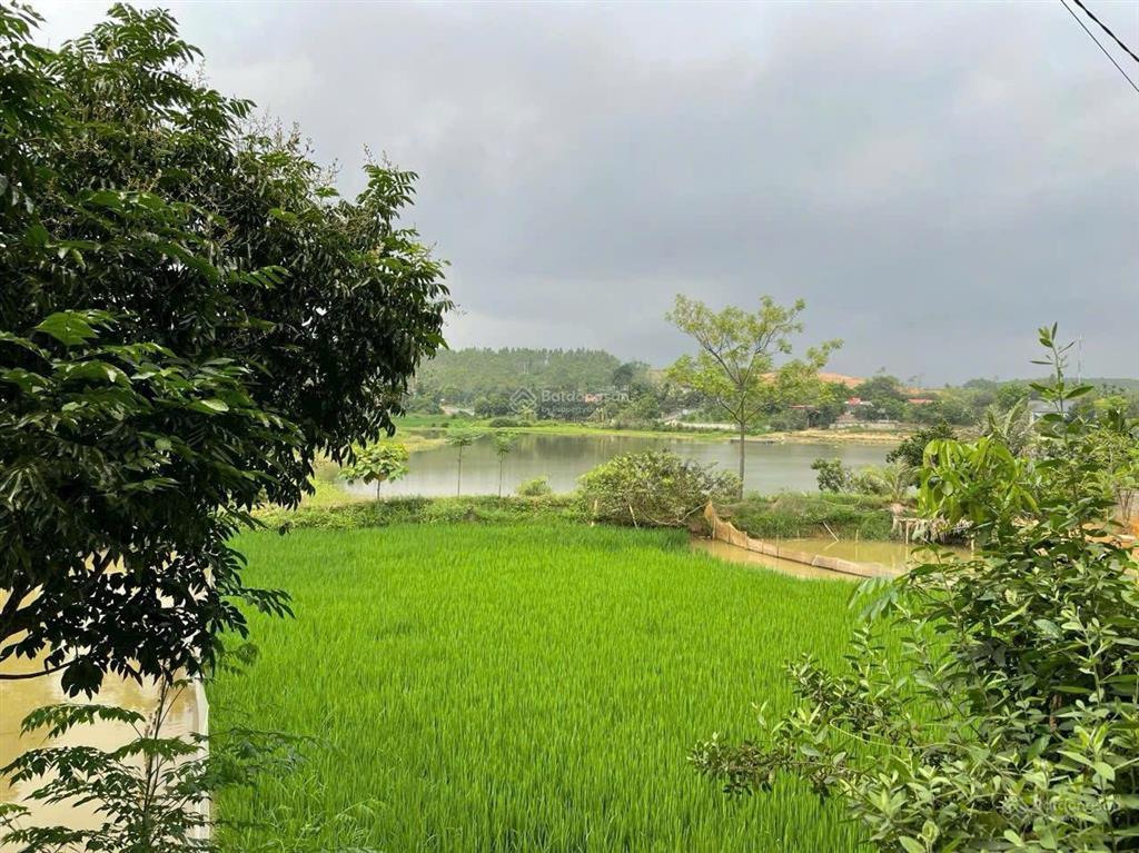 284m thanh thuỷ mặt 7m view hồ chỉ 7xxtr nhỏ