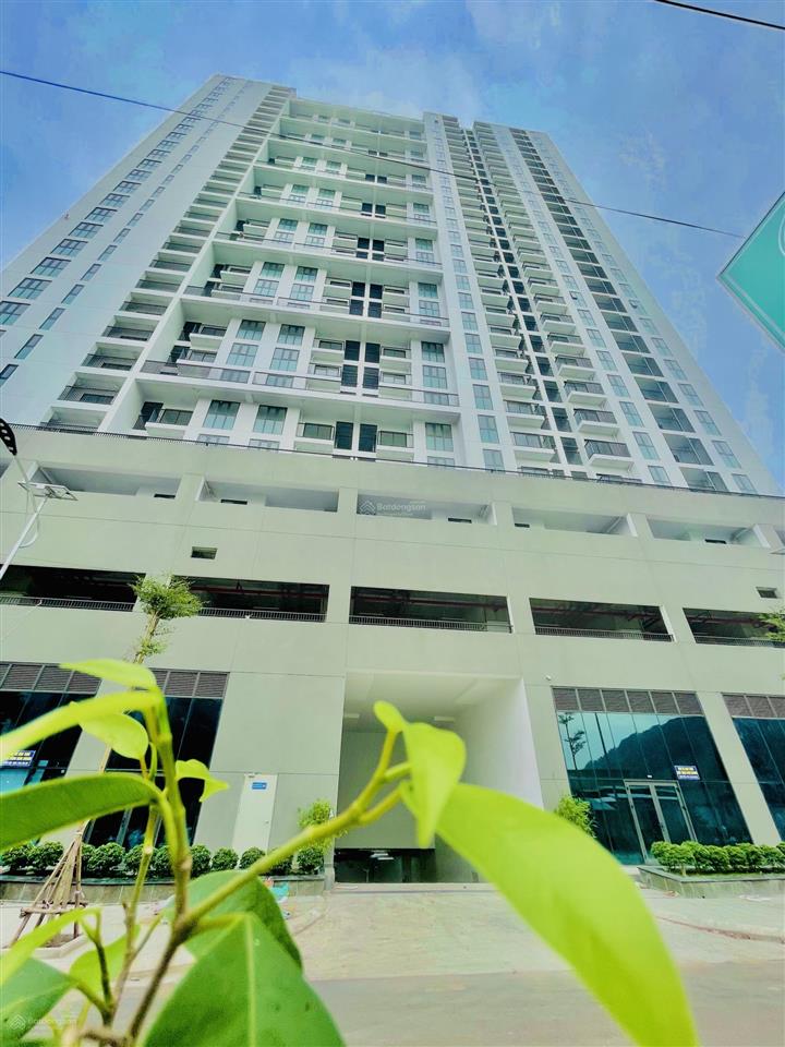 Calla apartment quy nhơn, 1,9 tỷ, 55 m2, 2pn, 2wc, hướng biển ngay siêu thị go