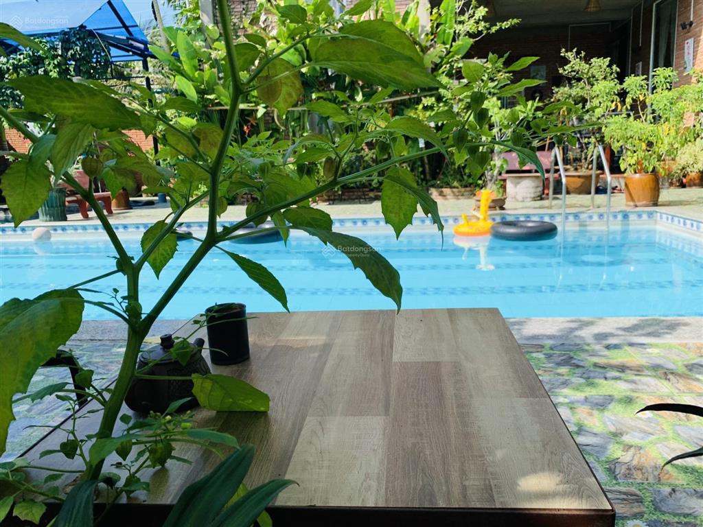 Bán homestay 22 phòng + 1 nhà điều hành 6 phòng + hồ bơi, sân vườn, nhà hàng... giá 9.9 tỷ