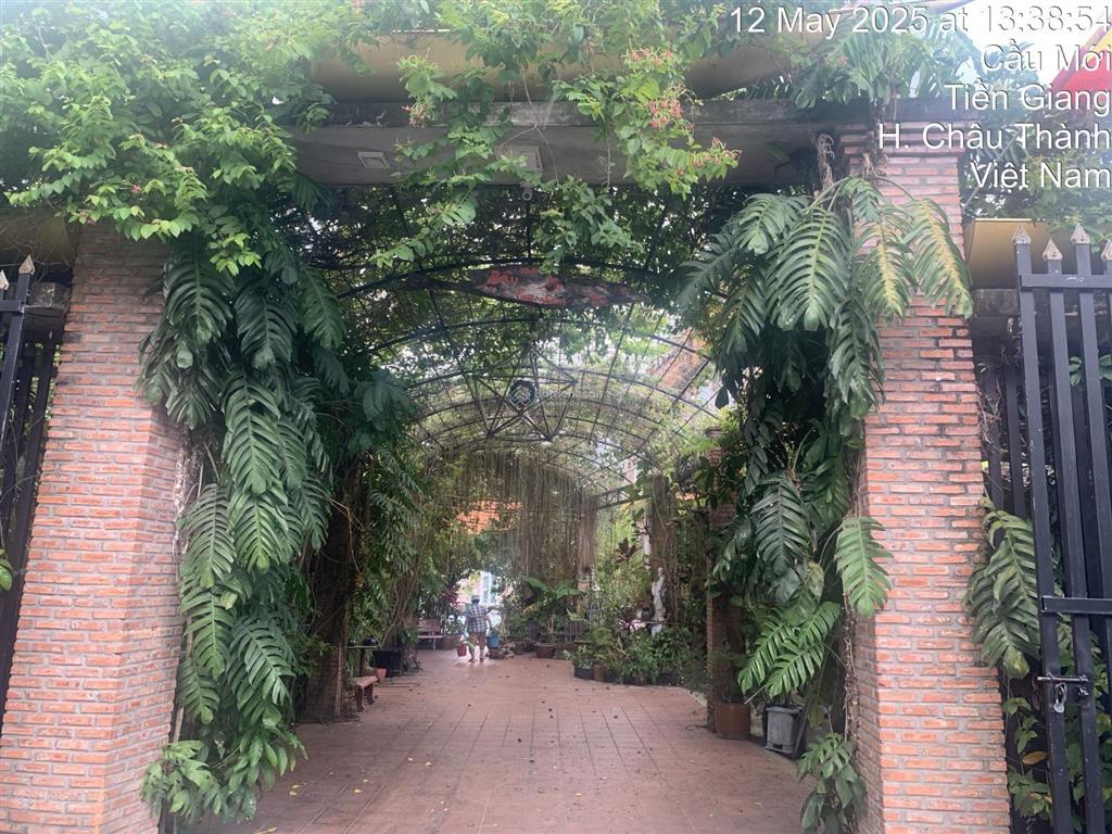 Bán homestay 22 phòng + 1 nhà điều hành 6 phòng + hồ bơi, sân vườn, nhà hàng... giá 9.9 tỷ