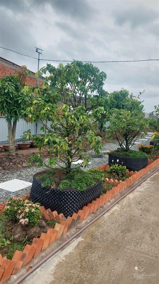 Bán nhà vườn đẹp đường ô tô giá 1 ty 9 ấp 3 xã tân thành huyện thủ thừa.tỉnh long an.củ