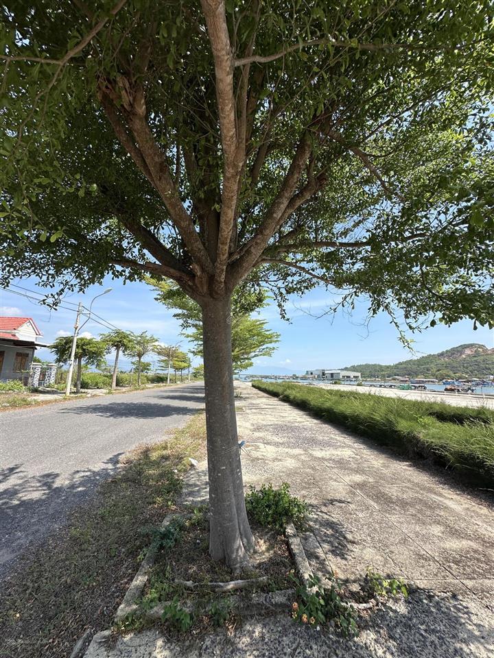 Lô góc 02 mt giá rẻ trên thị trường tđc xuân mỹ view đầm, biển trực diện, lộ giới 20m