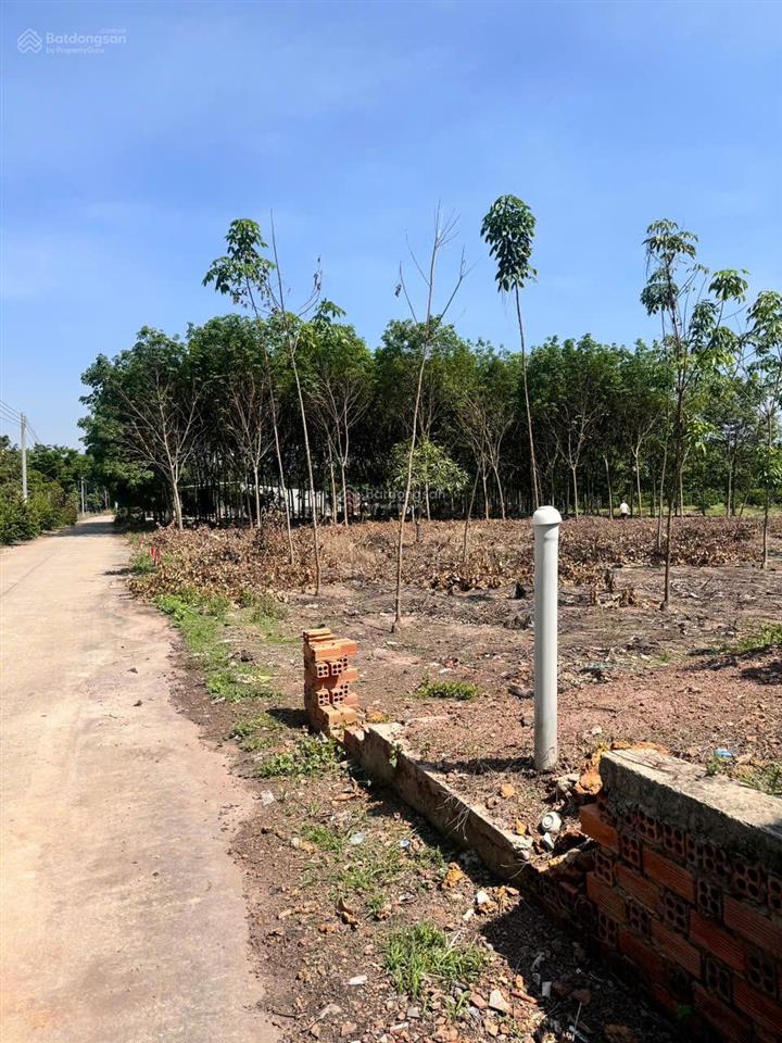 Bán đất 231m2 tại an thái, phú giáo, bình dương, giá 550 triệu vnd, view đẹp, uy tín