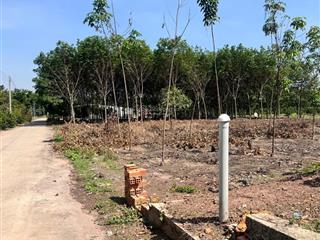 Bán đất 231m2 tại an thái, phú giáo, bình dương, giá 550 triệu vnd, view đẹp, uy tín