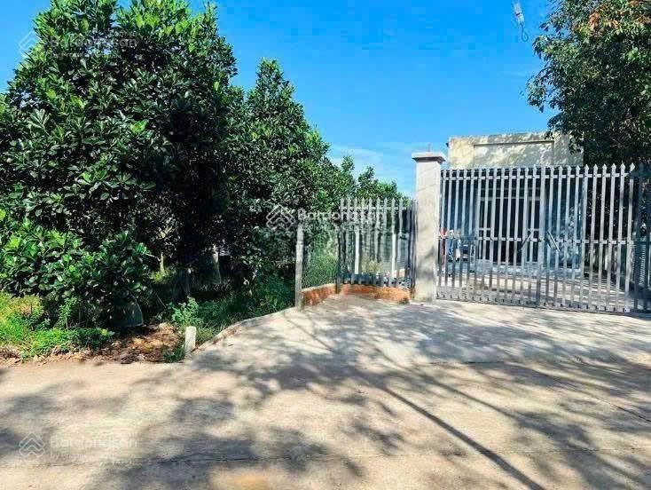 Giảm giá bán nhanh lô 213m2 trồng mít, sổ riêng, giá 540tr thổ cư 100m², đường bê tông 8m, dân đông