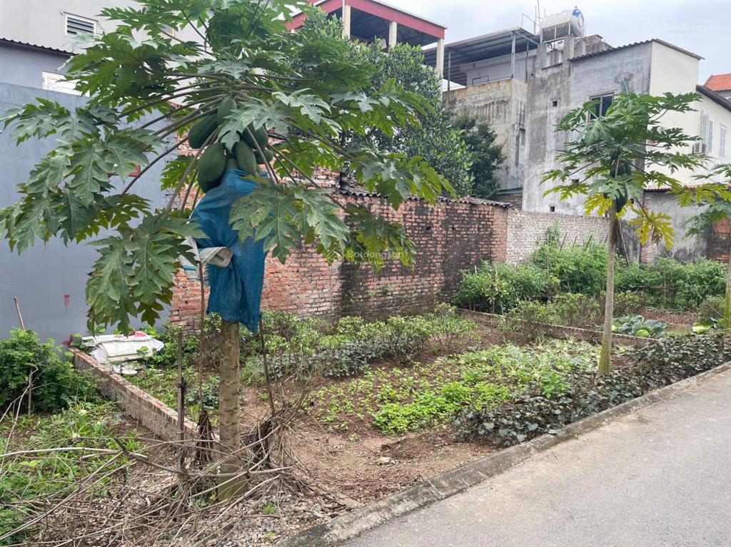Bán đất 85m2, 6,2 tỷ ở xã phú sơn, huyện gia lâm, hà nội, đường ô tô 7 chỗ