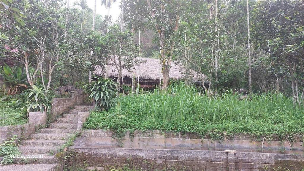 6000m2 nghỉ dưỡng tại kỳ sơn hòa bình  sẵn khuôn viên  giá tốt