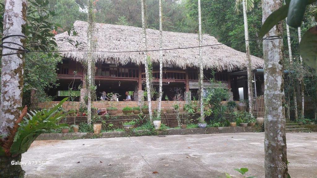 6000m2 nghỉ dưỡng tại kỳ sơn hòa bình  sẵn khuôn viên  giá tốt
