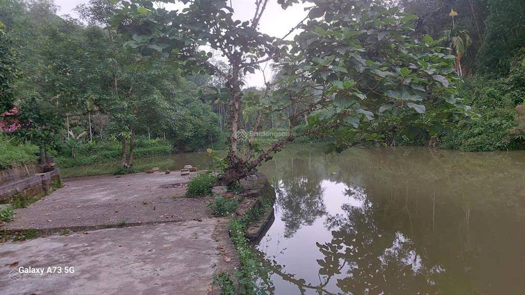 6000m2 nghỉ dưỡng tại kỳ sơn hòa bình  sẵn khuôn viên  giá tốt