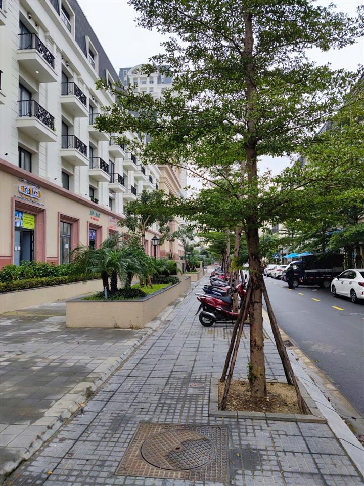Shophouse khối đế the manor crown  5 tầng kinh doanh