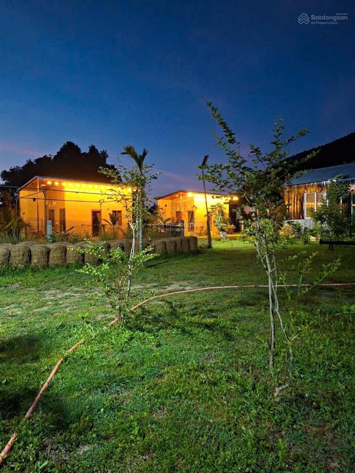 Sở hữu homestay bạch mã đón dòng tiền ngay từ ngày đầu