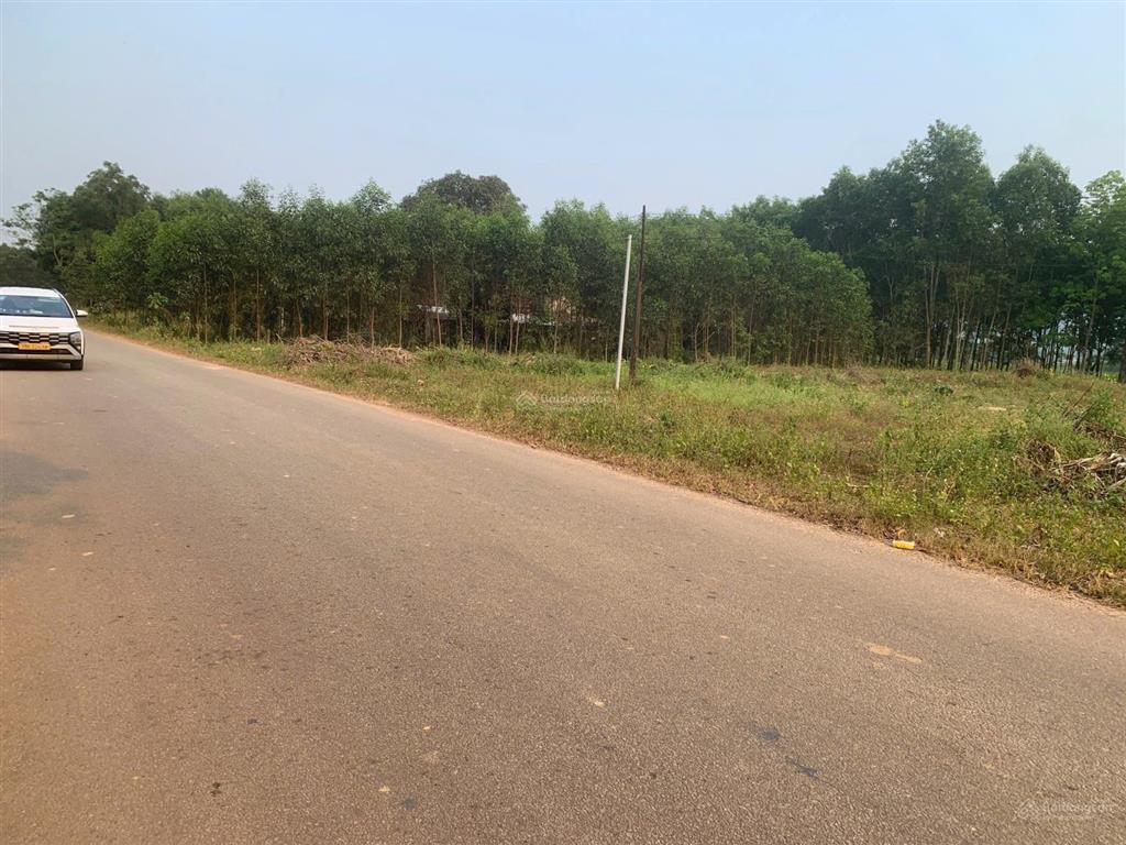 Bán đất 2 mặt tiền tỉnh lộ 11b, phường phong điền, tp. huế  giá rất tốt