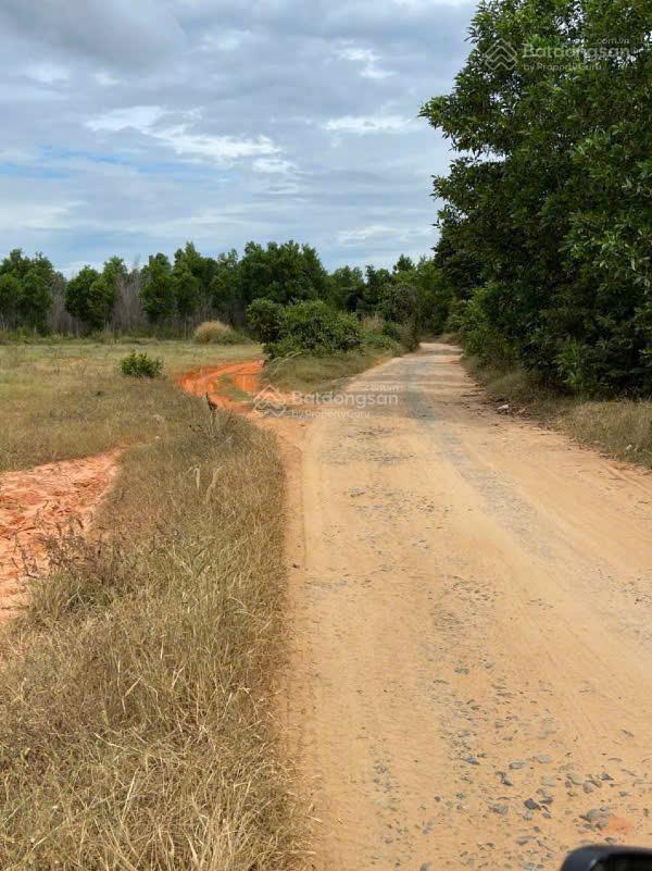 Bán 5ha1 đất xã tiến thành, thành phố phan thiết, giá 180 nghìn/m2