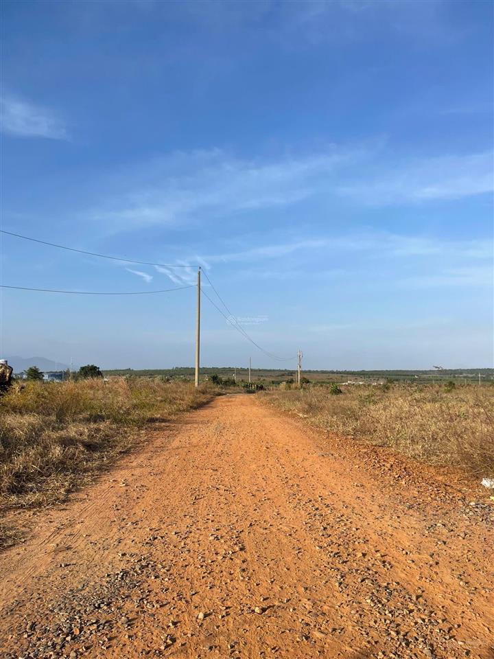 Bán 5ha1 đất xã tiến thành, thành phố phan thiết, giá 180 nghìn/m2