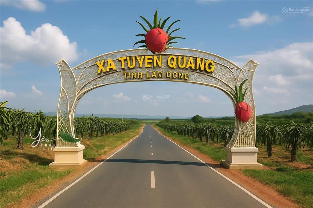 Bán đất mt đường bê tông thôn tiến hưng đi vô gần tp phan thiết