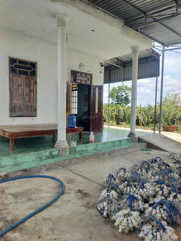 Bán đất vườn có thổ cư xã hàm minh huyện hàm thuận nam