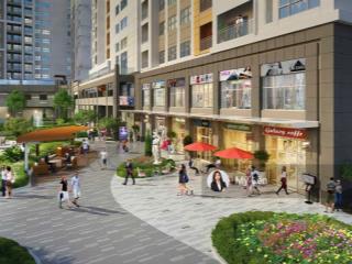 Bán nhanh shophouse 2 tầng giá cực tốt chỉ 8,9 tỷ tại victoria village