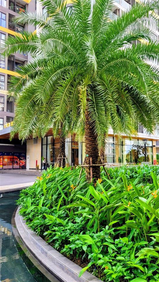 Giá nóng hôm nay | studio | the beverly | chỉ 2,250 tỷ | phân khu cao cấp vinhomes grand park