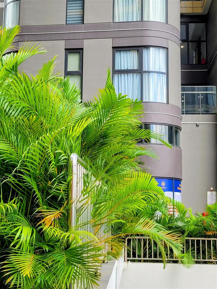 Giá nóng hôm nay | studio | the beverly | chỉ 2,250 tỷ | phân khu cao cấp vinhomes grand park