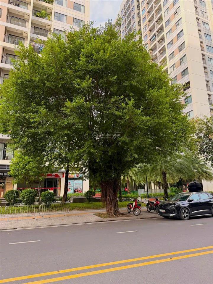 Bán nhanh deal giá hời studio | giá bán nhanh 1 tỷ 550 | vinhomes grand park