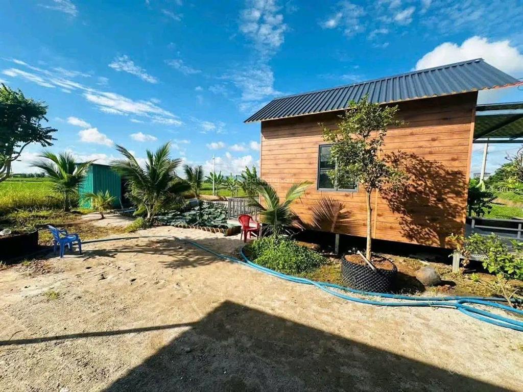 Bán đất 600m2 tại đường 9f, có nhà vườn c4 p tam long, hcm, giá cực chất 1,7 tỷ