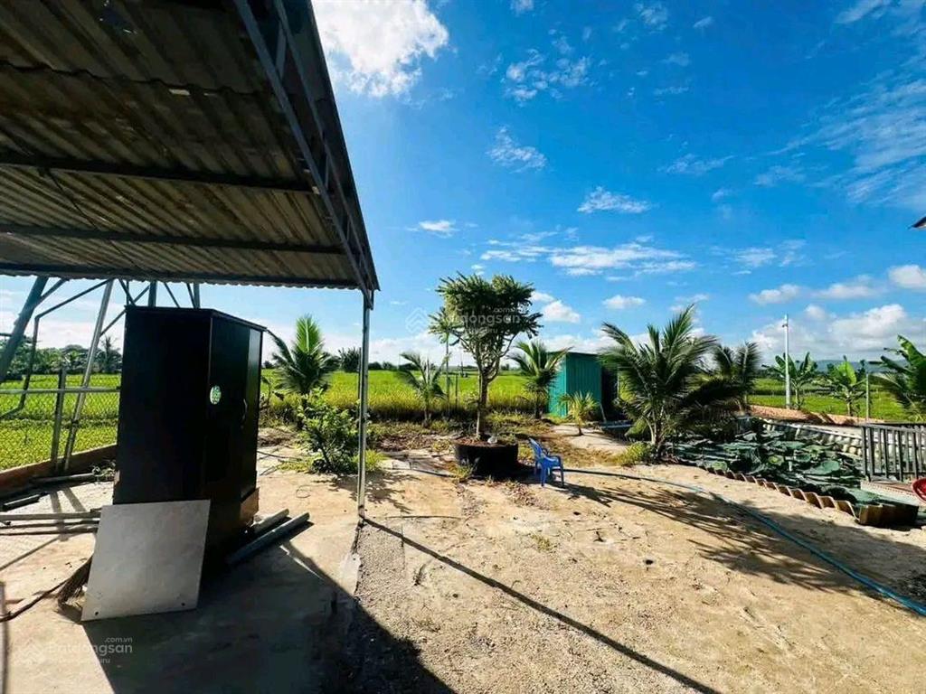 Bán đất 600m2 tại đường 9f, có nhà vườn c4 p tam long, hcm, giá cực chất 1,7 tỷ