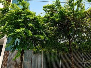 Đất trống xây ngay kdc lý phục man gpxd cao tầng khai thác dòng tiền 101m2 chỉ 16,5 tỷ