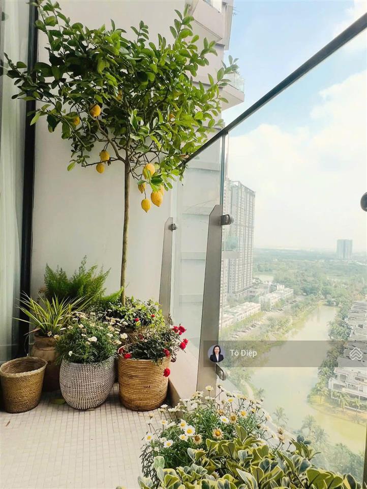 Duplex solforest  hoàn thiện cần bán 12,8 tỷ