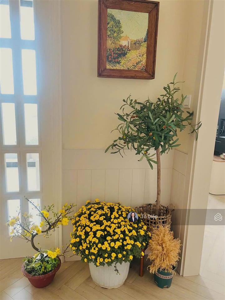 Duplex solforest  hoàn thiện cần bán 12,8 tỷ