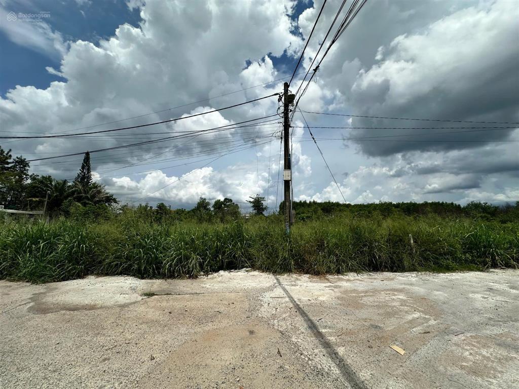 Bán đất nền dự án 1000m², 2,6 tỷ tại phước thái, xã phước thái, huyện long thành