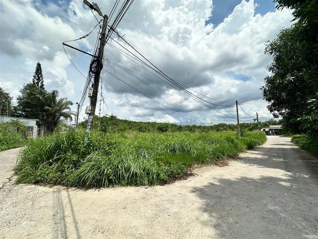 Bán đất nền dự án 1000m², 2,6 tỷ tại phước thái, xã phước thái, huyện long thành