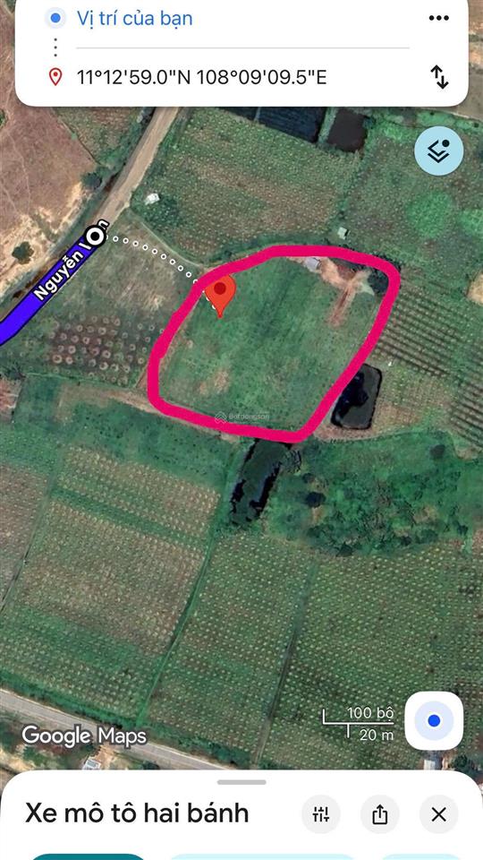 Bán đất tại thuận hòa, 200 nghìn / m2, 6000m2, mặt tiền 40m, ngõ 10m